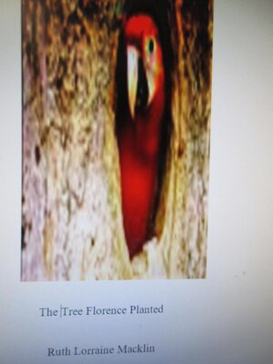 cover image of The Tree Florence Planted